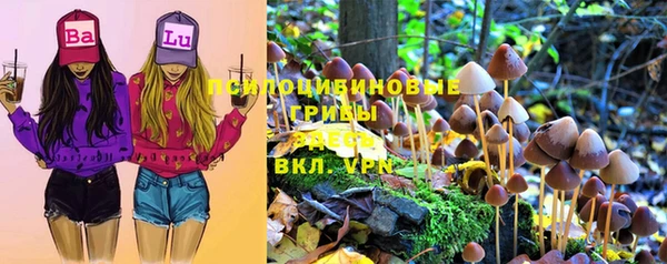 марки nbome Абаза