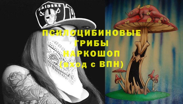 ECSTASY Абинск