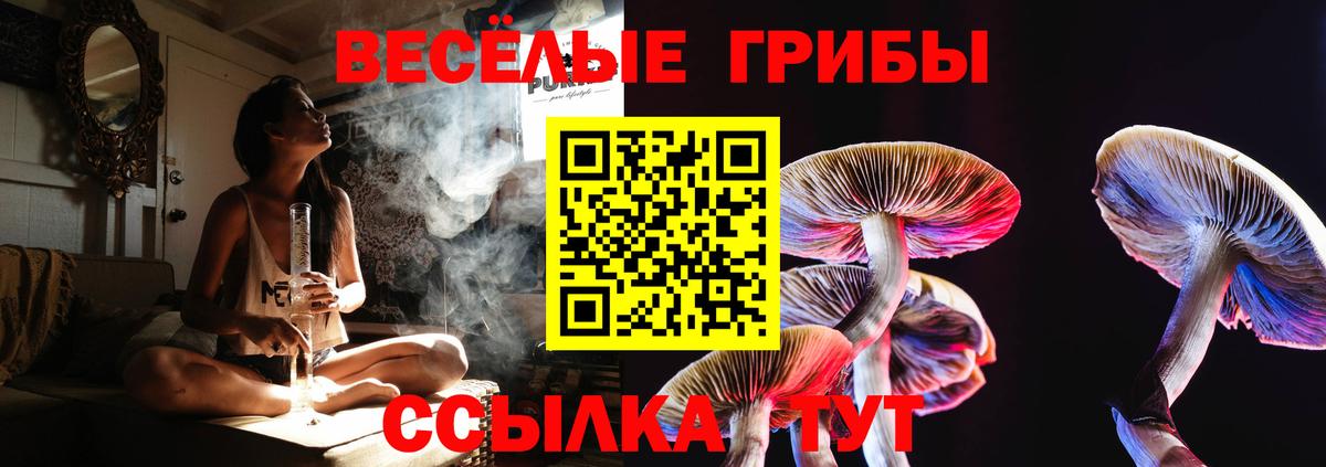 Псилоцибиновые грибы Psilocybe Тихорецк